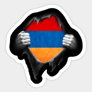 Armenia Flag Armenian Roots DNA Pride Gift Sticker